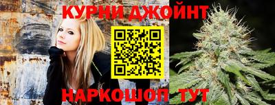 сатива Бузулук